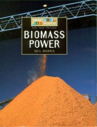 Biomass Power