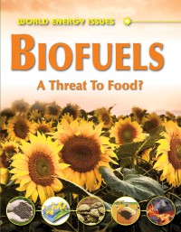 World energy issues : Biofuels a threat to food?