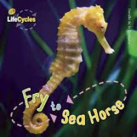 Fry to sea horse