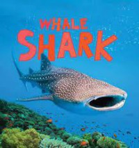 Whale shark