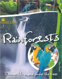 Rainforest : Discover life and under the trees