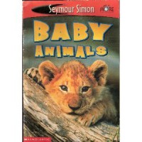 Baby Animals