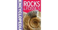 Encyclopedia  Mini : Rocks and Fossils