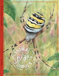 Animal Spider Diaries