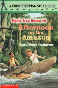 Image of Afternoon on the Amazon