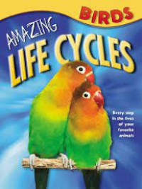 Amazing Life Cycles : Birds