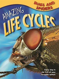 Amazing Life Cycles : Bugs and Spiders