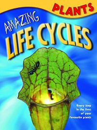 Amazing Life Cycles : Plants