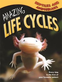 Amazing Life Cycles : Reptiles and Amphibins