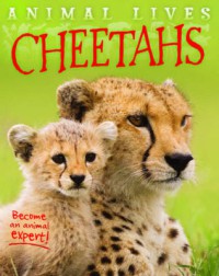 Animal Lives : Cheetaths