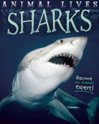 Animal Lives : Sharks