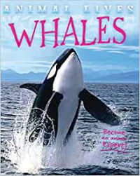 Animal Lives : Whales