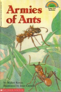 Armies of Ants