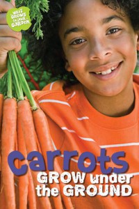 Carrots Grow under the Ground