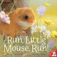 Cepat Lari Tikus Kecil = Run Little Mouse, Run
