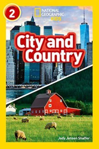 City and Country Level 2