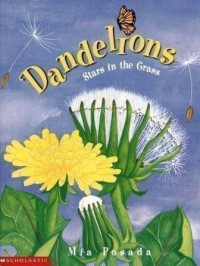 Image of Dandelions : Stars in the Grass