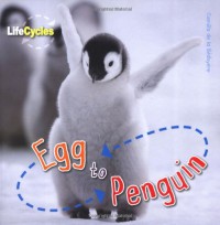 Egg to Penguin