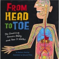 Image of From Head To Toe : The Amazing Human Body and How It Works