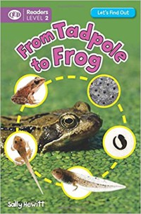 From Tadpole to Frog