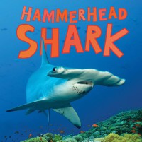 Hammerhead Shark