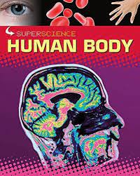 Human Body