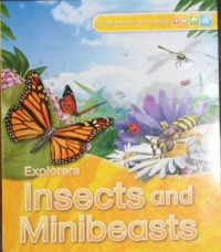 Insects and Minibeasts