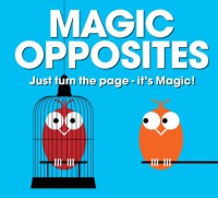 Magic Opposites