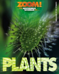 Plants : Zoom the Invisible  World of