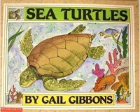 Sea Turtles