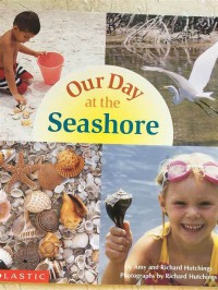 Seashore : Our Day at the