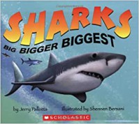 Sharks Big Bigger Biggest
