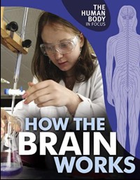The Human Body In Focus : How The Brain Works