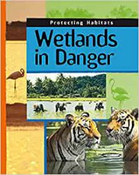 Wetlands in Danger