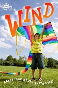 Wind : A first look at the gusty wind