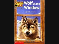 Wolf at The Window